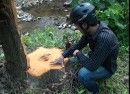 Điện Biên gian nan giữ rừng 
